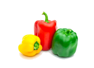 Capsicum