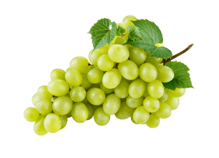 Grapes