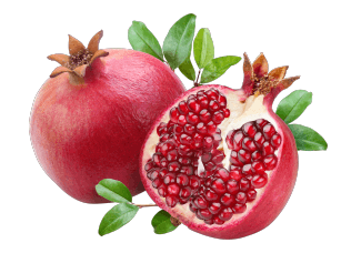 Pomegranate